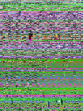 Snapshot of YOOUR_EVAA chatting on July 8, 2026, 9:10 am YOOUR EVAA online show from July 8, 2026, 9:10 am