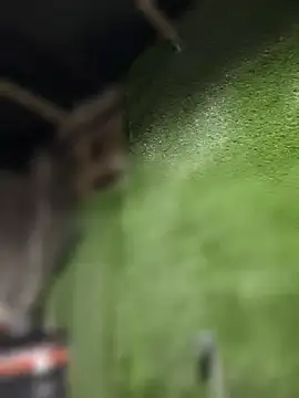 Czarnoksieznik online show from April 14, 2026, 7:52 pm