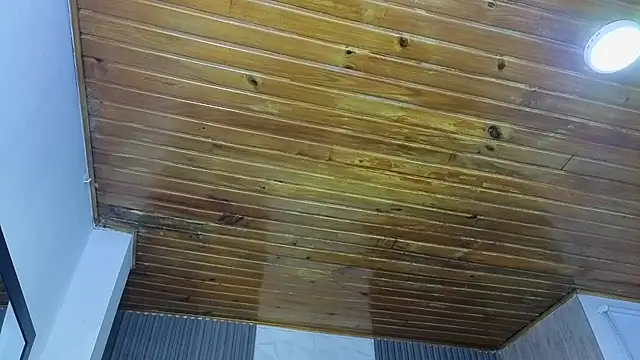 Bonnali lune online show from April 19, 2026, 4:46 am