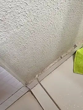 Lulugz online show from December 1, 2025, 3:35 pm