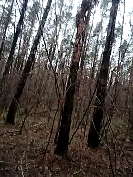 llass55 online show from November 18, 2025, 9:23 am