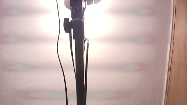 Terraelowen online show from February 25, 2026, 11:32 am