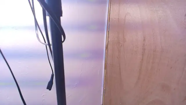 Terraelowen online show from February 24, 2026, 11:22 am