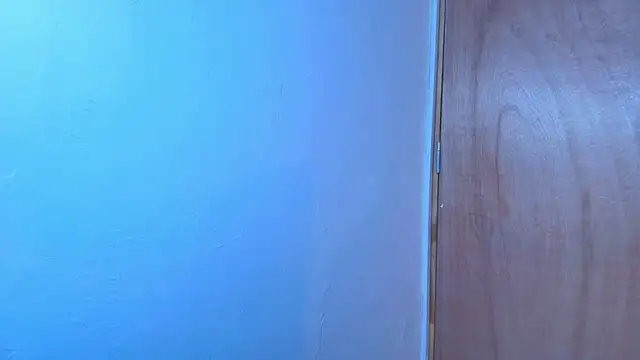 Terraelowen online show from February 15, 2026, 11:20 am