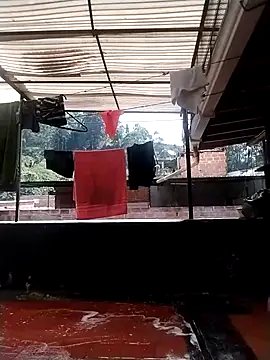 solpeich online show from October 31, 2025, 3:08 pm