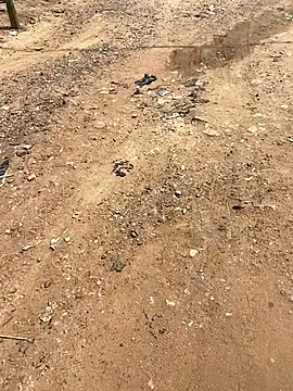 Jaydemasked online show from November 26, 2025, 11:10 am