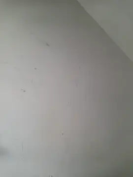 iamlalamilano online show from March 29, 2026, 3:02 pm