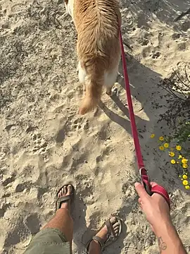 Snapshot of haramnarab chatting on October 28, 2025, 12:37 pm haramnarab online show from October 28, 2025, 12:37 pm