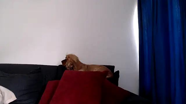 Snapshot of evilheart_69 chatting on December 18, 2025, 5:50 pm evilheart 69 online show from December 18, 2025, 5:50 pm