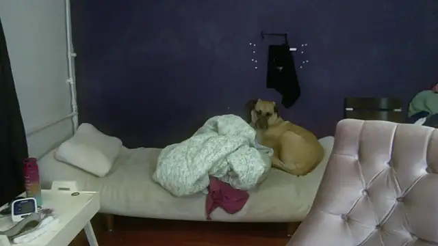 turkishTransEfsun online show from November 3, 2025, 10:08 am