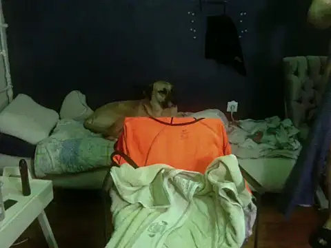 Snapshot of turkishTransEfsun chatting on February 28, 2026, 11:26 pm turkishTransEfsun online show from February 28, 2026, 11:26 pm