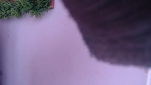 IVONNE COLLINS33 online show from September 24, 2025, 1:50 pm