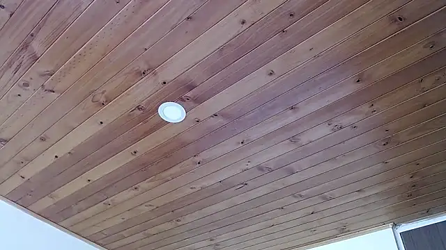 IVONNE COLLINS33 online show from September 21, 2025, 2:22 pm