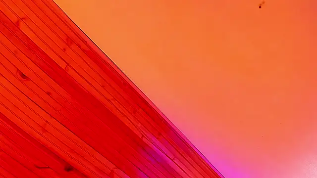 Angel kanon online show from March 3, 2026, 12:34 pm