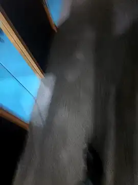 Snapshot of hotboy43339 chatting on March 1, 2026, 3:06 am hotboy43339 online show from March 1, 2026, 3:06 am