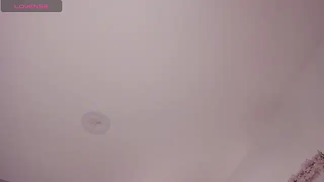 Snapshot of Laureen_se chatting on February 3, 2026, 2:53 am Laureen se online show from February 3, 2026, 2:53 am