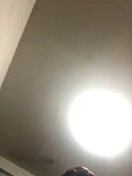 Snapshot of Novinhodotadomg chatting on October 29, 2025, 3:05 am Novinhodotadomg online show from October 29, 2025, 3:05 am