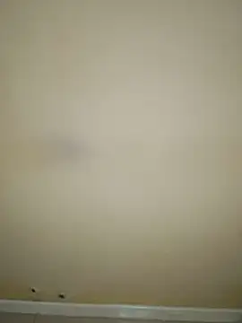 estefymariam88 online show from November 29, 2025, 7:52 am