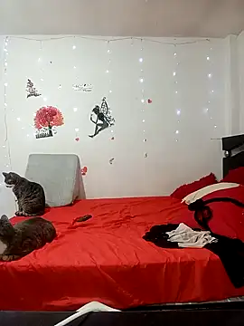 Snapshot of Lady_16 chatting on February 17, 2026, 1:58 am Lady 16 online show from February 17, 2026, 1:58 am