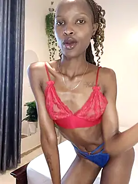 Snapshot of Nedambale chatting on February 11, 2026, 11:43 am Nedambale online show from February 11, 2026, 11:43 am