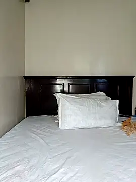 Snapshot of Nedambale chatting on February 14, 2026, 12:38 pm Nedambale online show from February 14, 2026, 12:38 pm