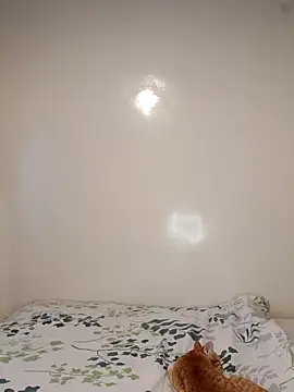 Snapshot of Nedambale chatting on February 3, 2026, 10:53 am Nedambale online show from February 3, 2026, 10:53 am