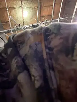 Snapshot of StrokingDaddy4 chatting on November 14, 2025, 11:36 am StrokingDaddy4 online show from November 14, 2025, 11:36 am