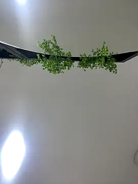 CharlotteBrownn  online show from October 25, 2025, 3:17 am