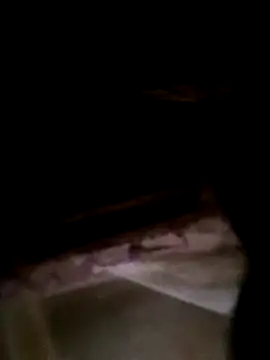 CoMay003 online show from February 23, 2026, 1:40 am