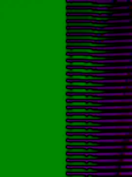 Sweet Shang online show from December 20, 2025, 5:54 am