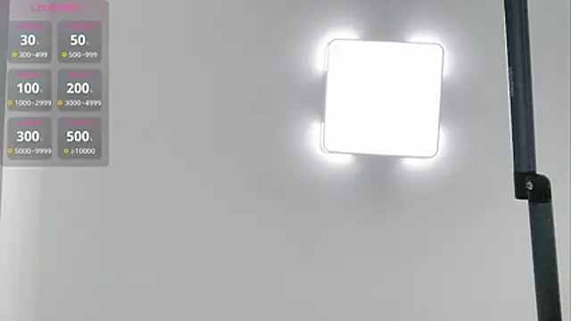 A SR 001 online show from November 29, 2025, 1:11 pm