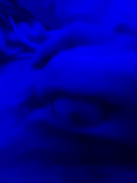 Derfick200 online show from December 2, 2025, 7:26 pm