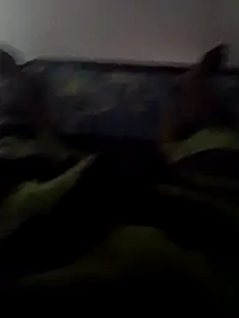 Snapshot of ceyloanboy chatting on May 19, 2026, 1:56 am ceyloanboy online show from May 19, 2026, 1:56 am