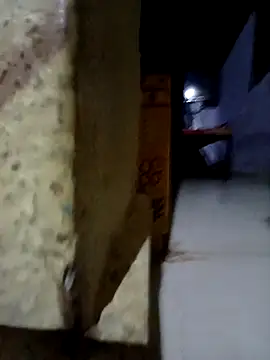 Vizgeboys online show from November 11, 2025, 5:30 pm