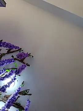 burbuja02 online show from April 5, 2026, 2:35 pm