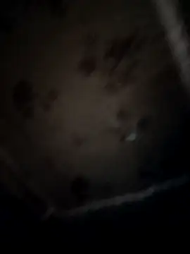 pujaroy363534 online show from December 22, 2025, 11:10 am