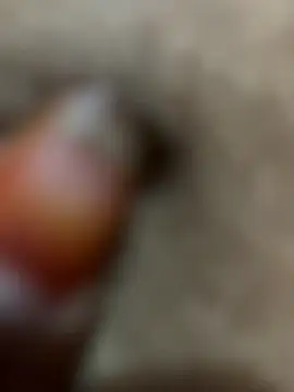 Snapshot of Telugu_sex_ chatting on November 23, 2025, 1:48 am Telugu sex online show from November 23, 2025, 1:48 am