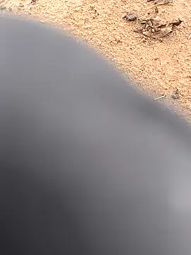 rajdehli online show from October 2, 2025, 10:51 am