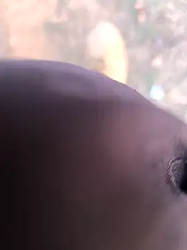 rajdehli online show from March 26, 2026, 12:03 pm