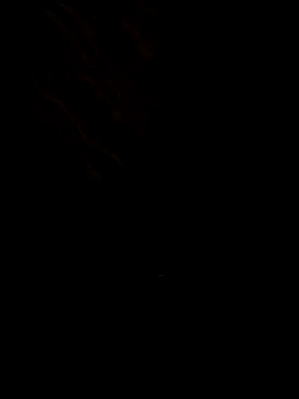 QueenLink online show from October 22, 2025, 4:23 am