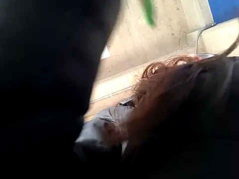 Natalykaty online show from November 25, 2025, 2:28 pm