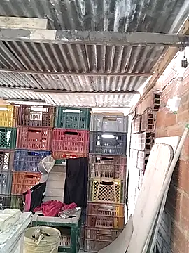 Snapshot of hoteder chatting on February 10, 2026, 12:37 pm hoteder online show from February 10, 2026, 12:37 pm