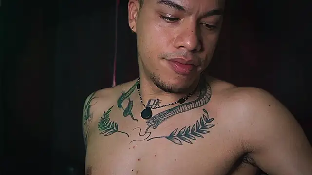 Snapshot of AlphaMasterXxx chatting on February 14, 2026, 7:25 pm AlphaMasterXxx online show from February 14, 2026, 7:25 pm