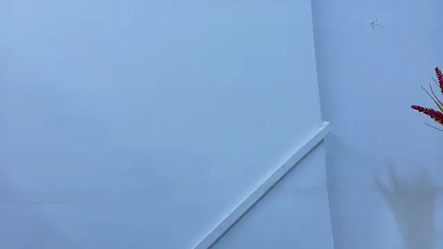 Lizbeth Rouse online show from November 6, 2025, 11:25 am