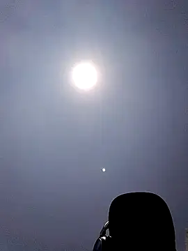 bobothehobo online show from October 15, 2025, 11:18 am