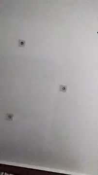 PearlingBunkbed online show from November 27, 2025, 4:02 am