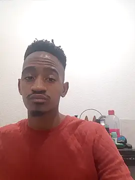 Snapshot of gemini_loops chatting on October 17, 2025, 5:59 pm gemini loops online show from October 17, 2025, 5:59 pm