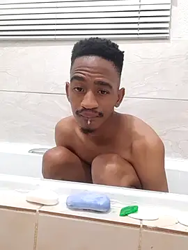 Snapshot of gemini_loops chatting on November 3, 2025, 6:22 pm gemini loops online show from November 3, 2025, 6:22 pm