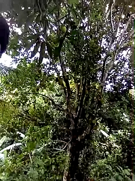 moreno25centimetro online show from February 4, 2026, 2:01 pm