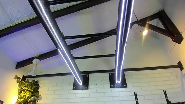 ItaloMoore online show from November 6, 2025, 11:25 am